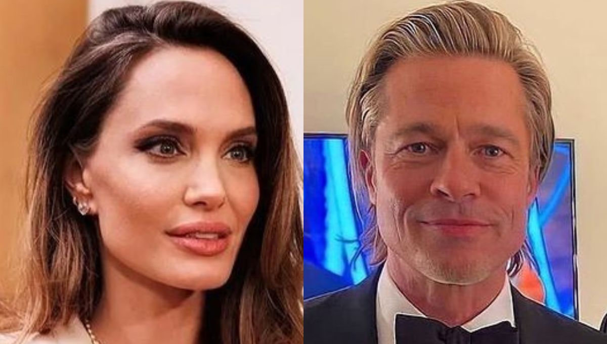 Este es el nuevo negocio de Angelina Jolie lejos de la actuación y de Brad Pitt