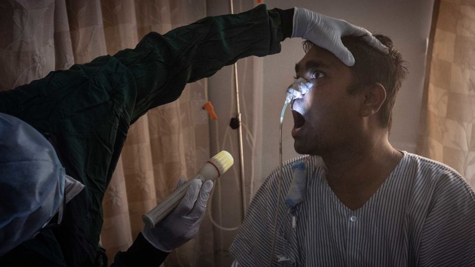 Hongo negro: 6 claves de la rara infección que ataca a pacientes con covid-19 en India