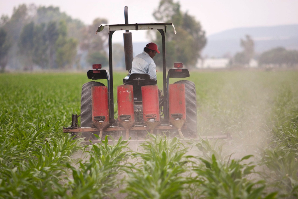 Suben costos del campo y el gobierno "descobija" al sector, denuncia en Querétaro