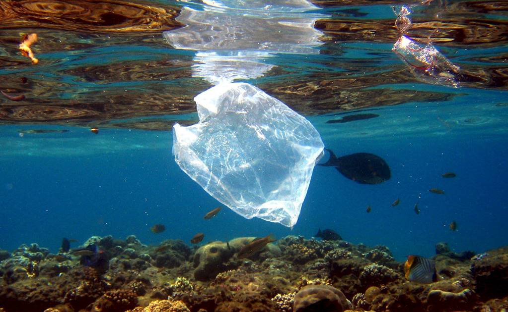 Se viene una ola de plástico contaminando el mar