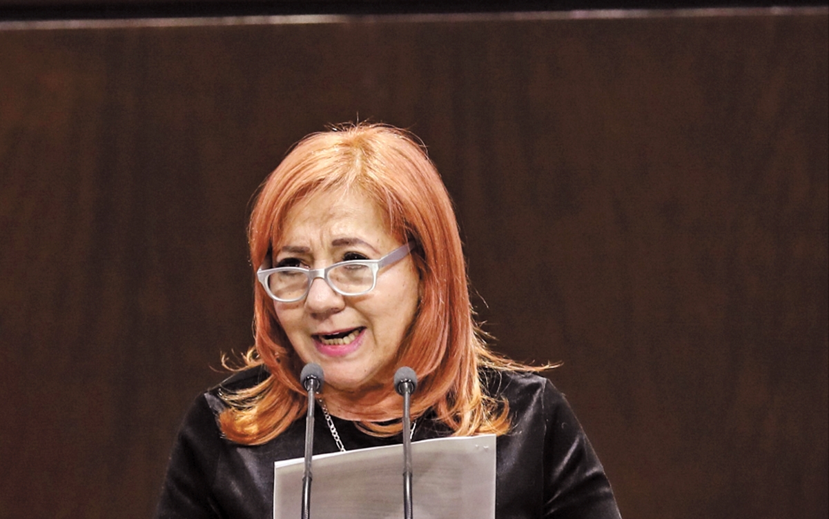 Rosario Piedra no cumple con los requisitos para dirigir la CNDH: SNA