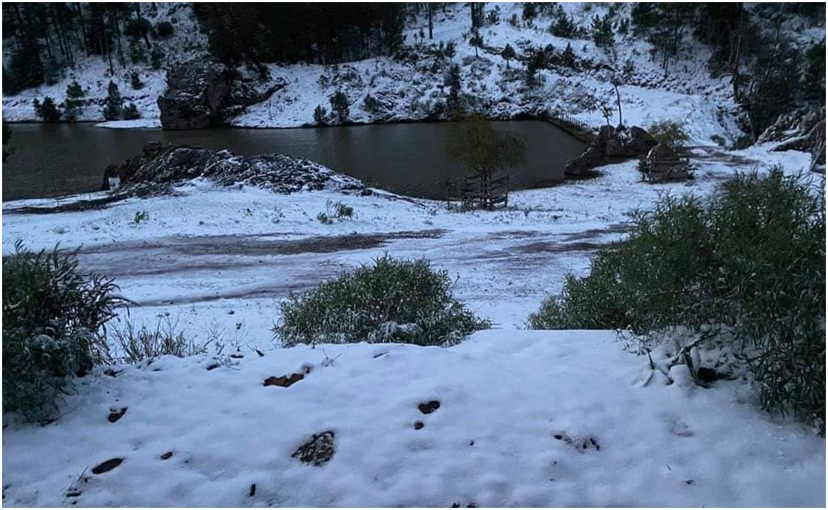 FOTOS: Primera tormenta invernal deja hermosas postales por nieve en Chihuahua, Durango, Sinaloa, Zacatecas y NL