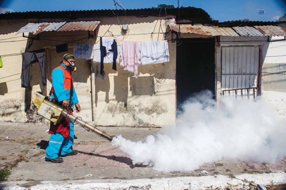 El zika se extiende de manera explosiva: OMS 