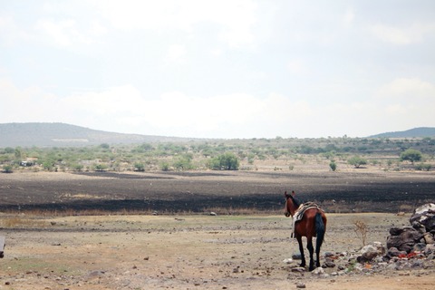 Explotación de terrenos agrícolas  afecta fertilidad 