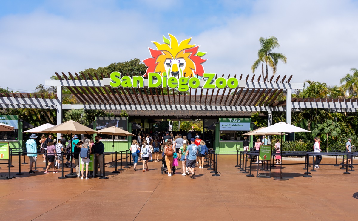 Las atracciones y restaurantes que son gratis para los niños en San Diego durante octubre