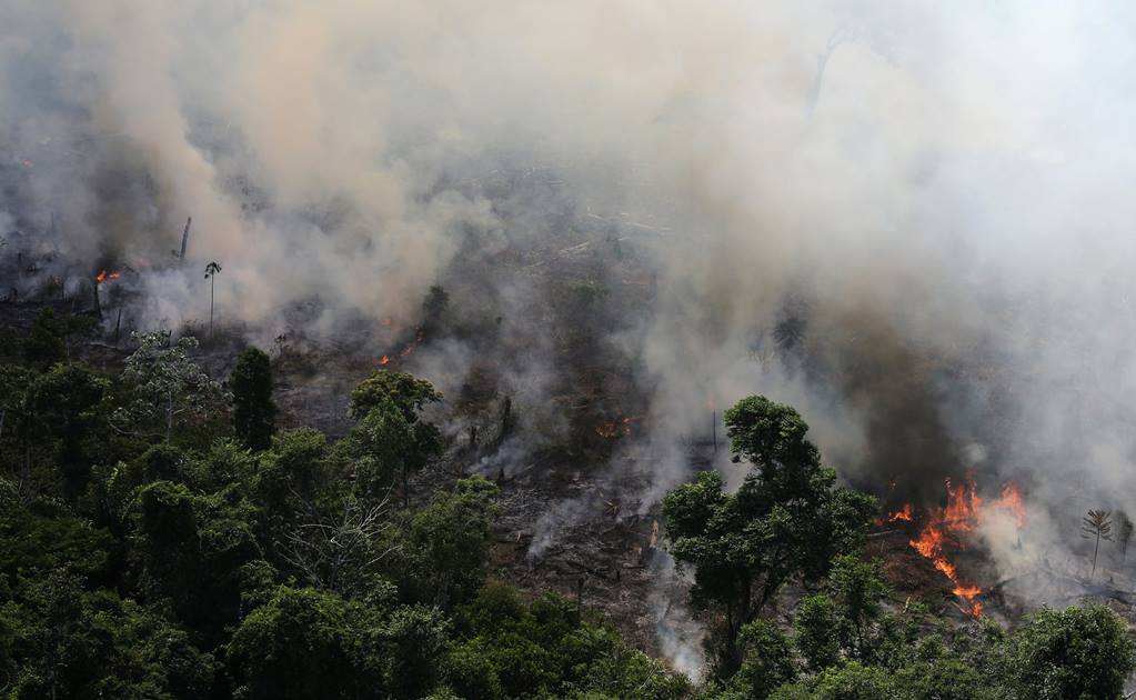 Incendios forestales en Brasil superan los 70 mil en el año; rompe cifra récord