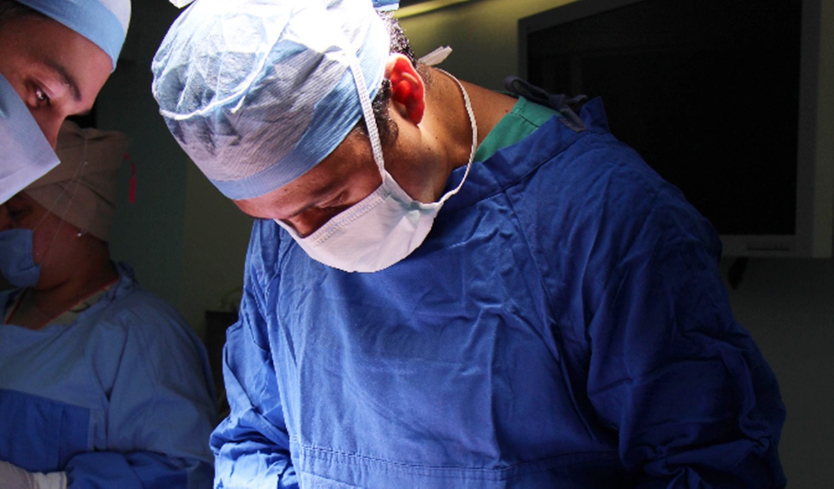 Trasplantan exitosamente riñón de un cerdo en un paciente vivo 