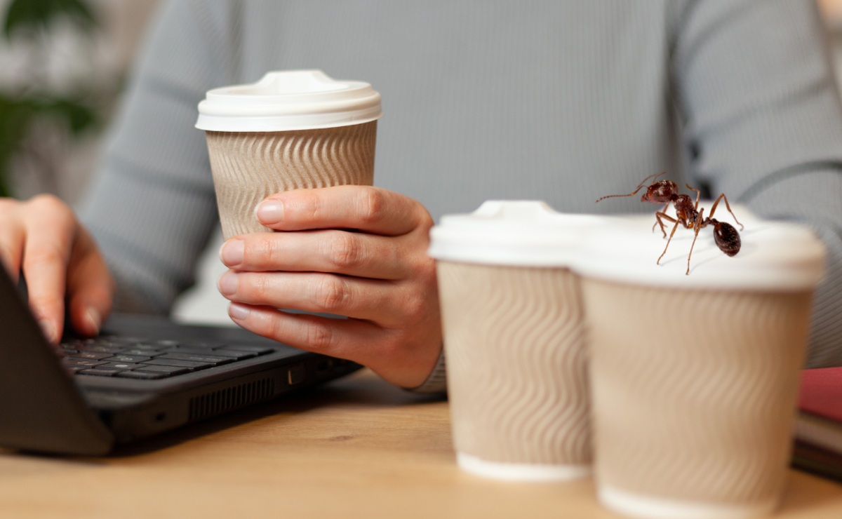 ¿Estás perdiendo dinero sin saberlo? Identifica y elimina los gastos hormiga en tu trabajo