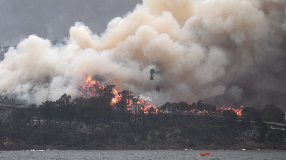 Incendios en Australia: por qué son tan feroces y otras claves para entender lo que está ocurriendo en el país