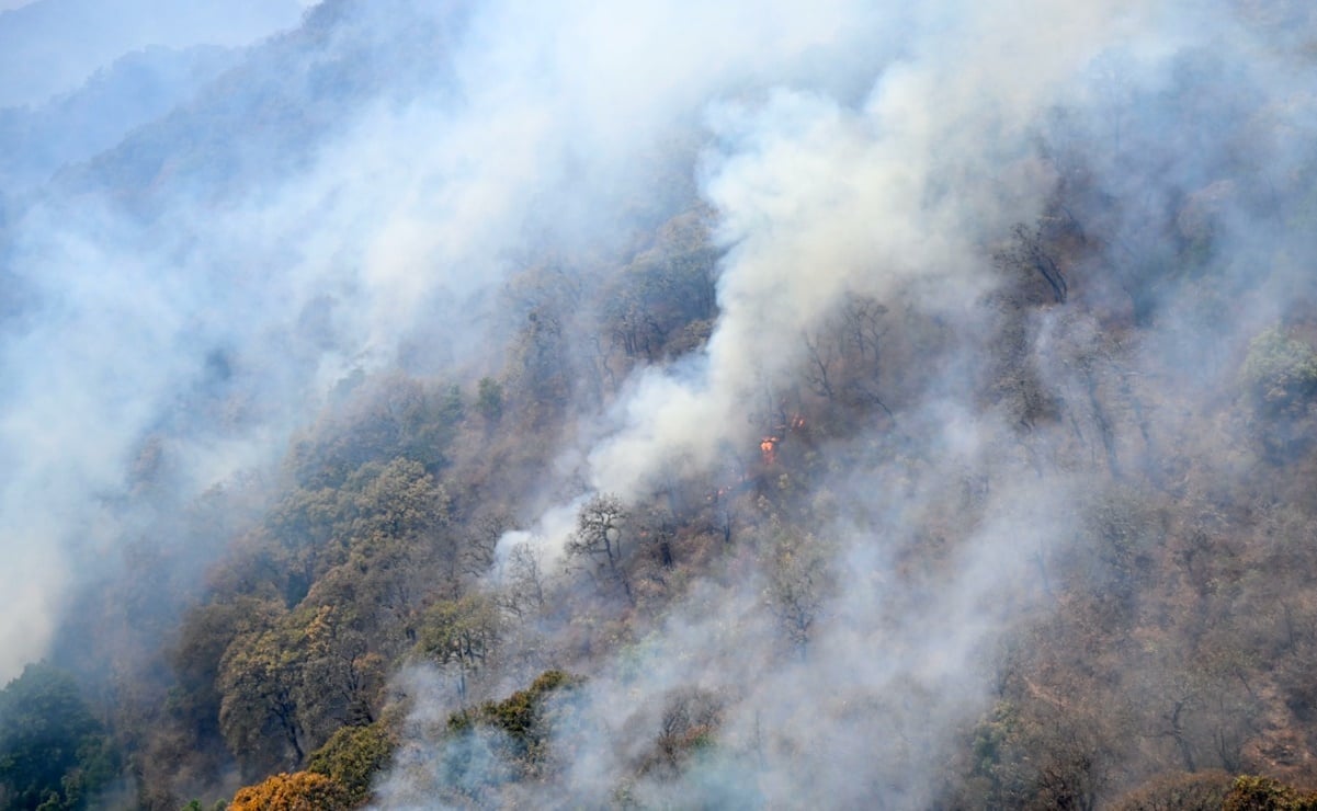 Mala decisión fue atacar el incendio en cerro de Tepoztlán con técnica de contrafuego: comuneros