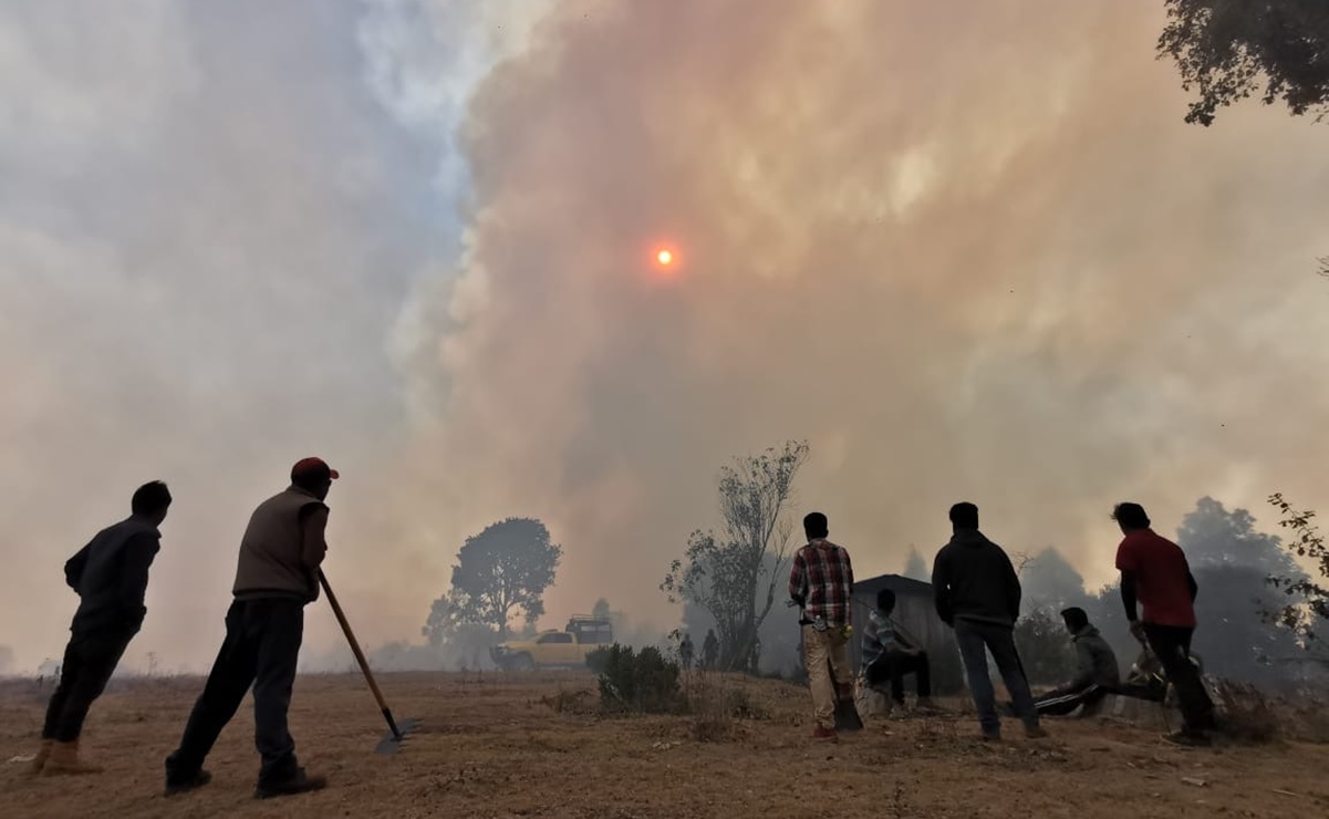 Por incendios y heladas, declaran emergencia en 28 municipios de Oaxaca