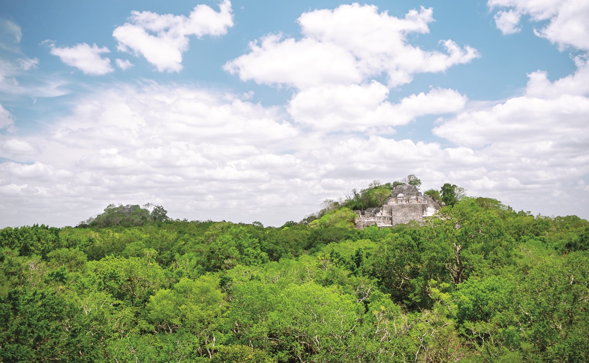 Tren Maya amenaza con arrollar el paraíso de Calakmul