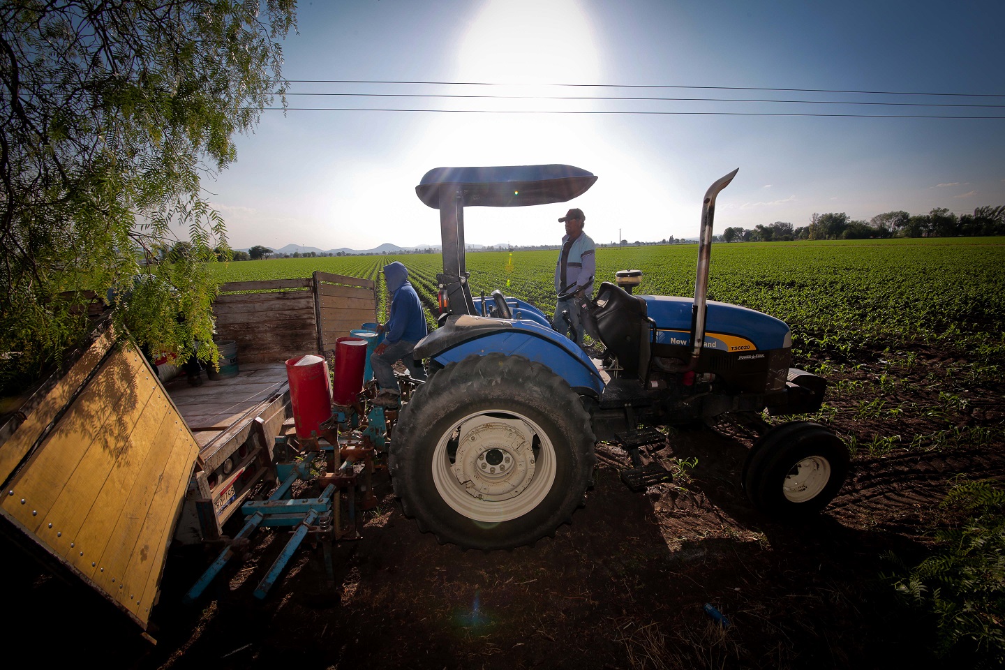 Rescatar el campo para rescatar a México