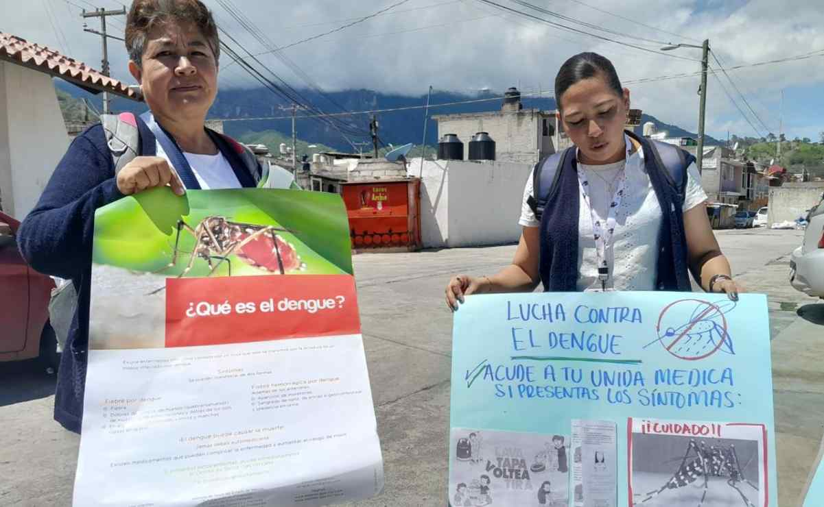 Edomex: alarma en la comunidad de Colorines por presencia del mosco que provoca el dengue
