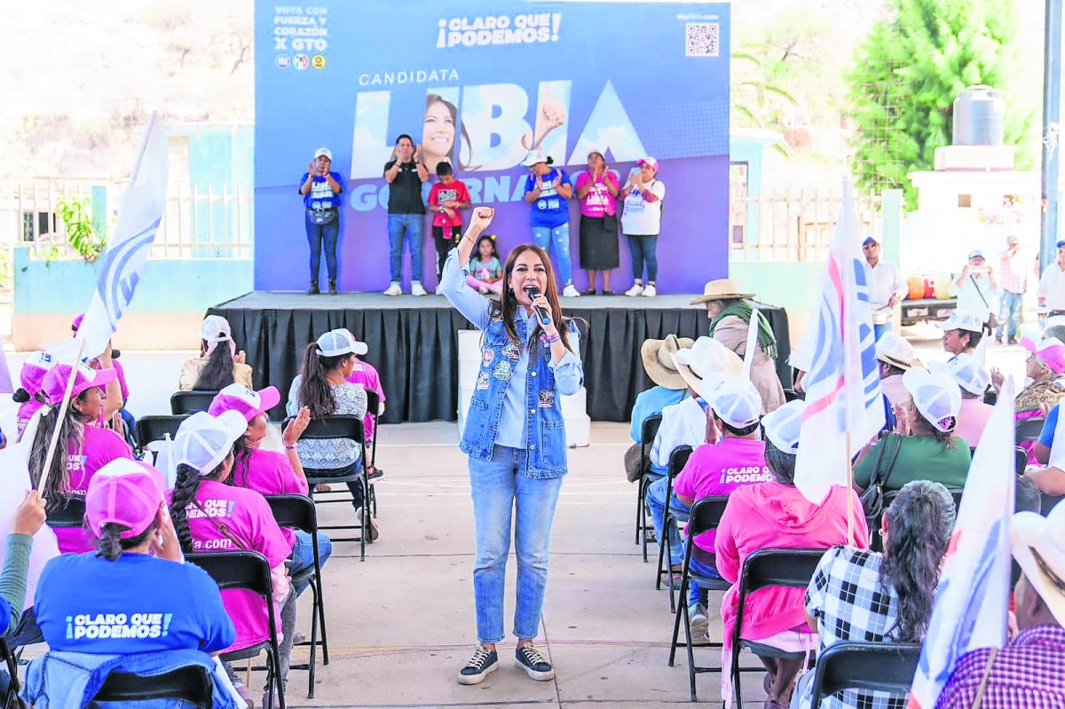 Piden licencia 4 diputados para hacer campaña