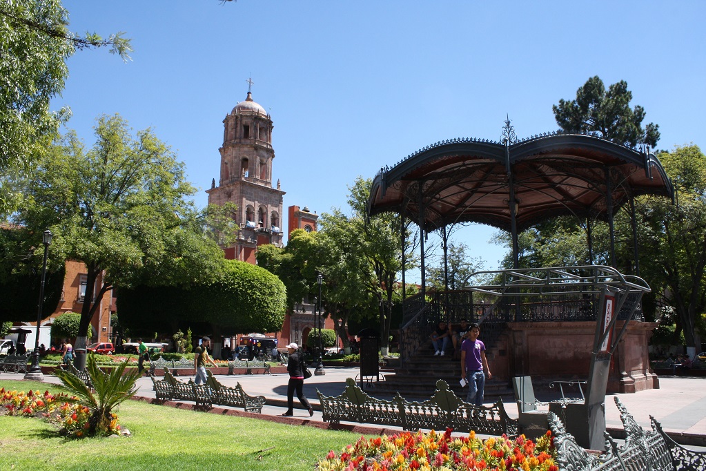 Siguen esfuerzos para controlar plaga de ratas en el Centro Histórico ...