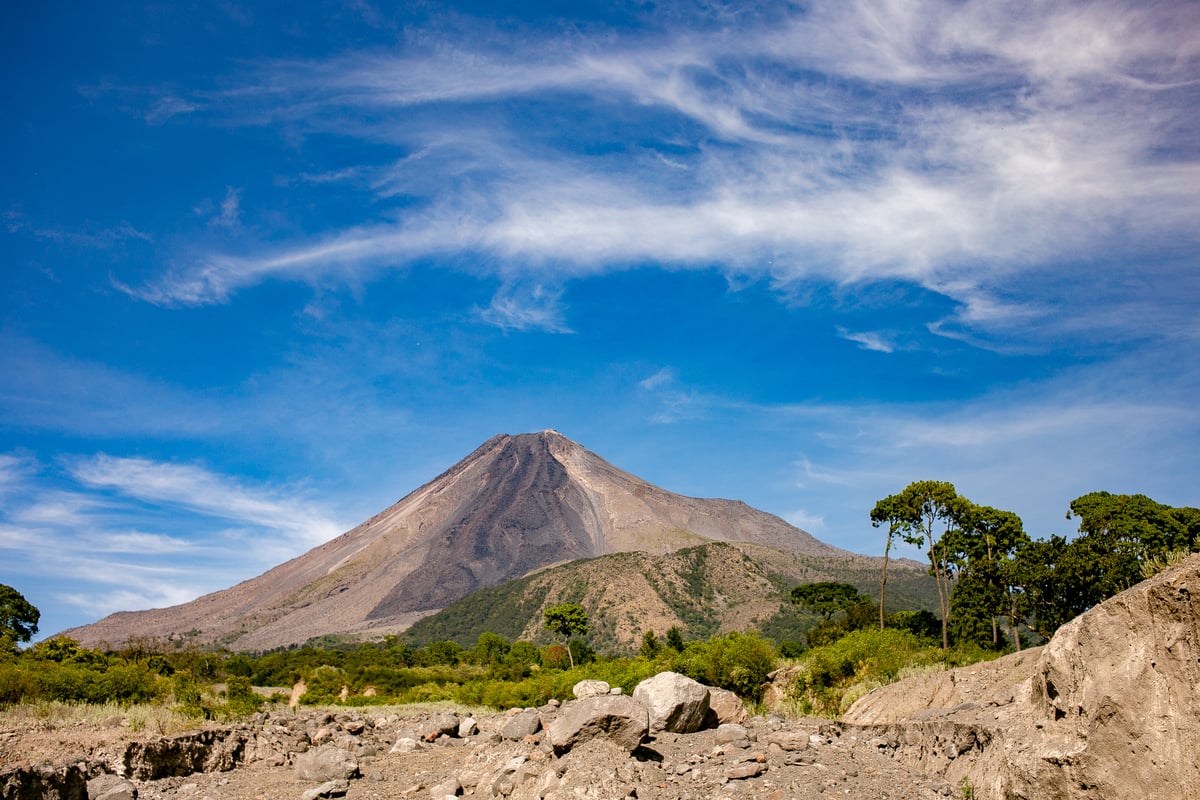 Conoce la iniciativa de Cervecería de Colima con el medio ambiente y sus resultados 