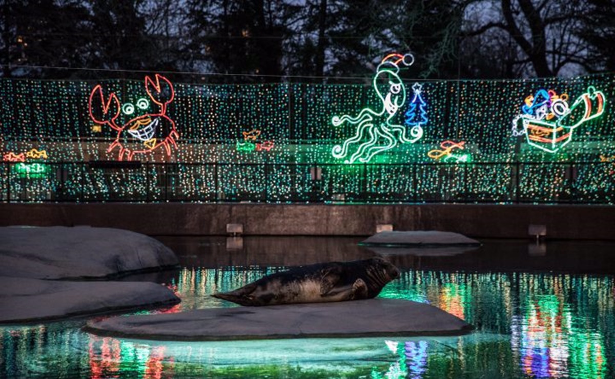 ZooLights regresa al zoológico Lincoln Park de Chicago