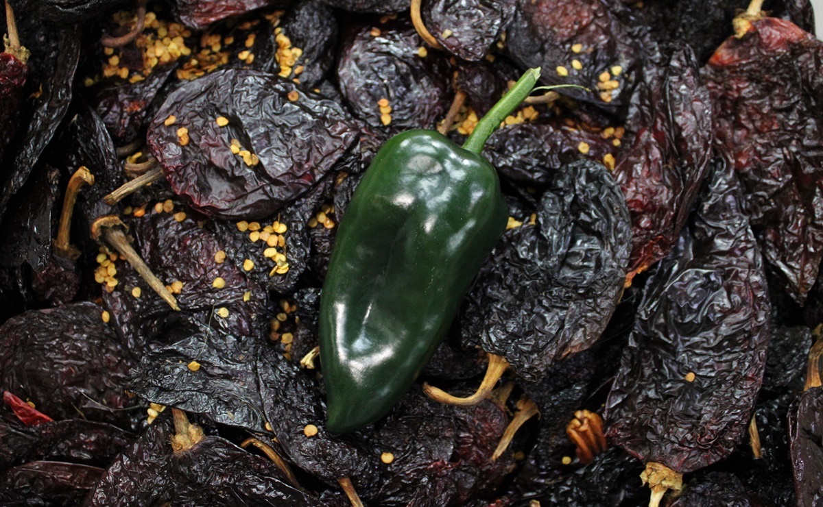 ¿Por qué los chiles cambian de nombre cuando se secan?