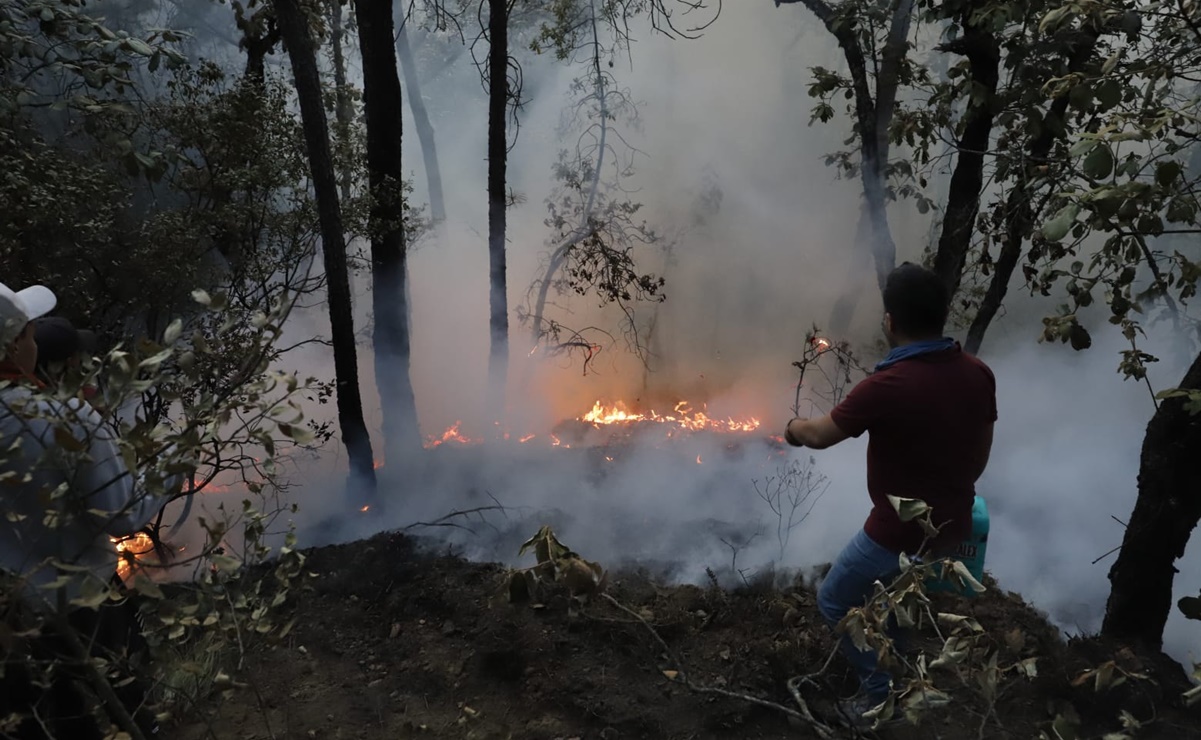 Se mantienen activos incendios forestales en Hidalgo, son combatidos por diversas autoridades y voluntarios