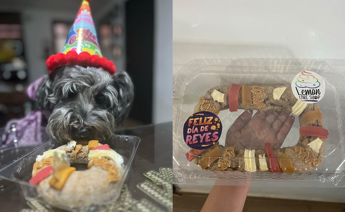 ¡De pelos! Crean adorable Rosca de Reyes para perritos; ¿dónde comprarla?