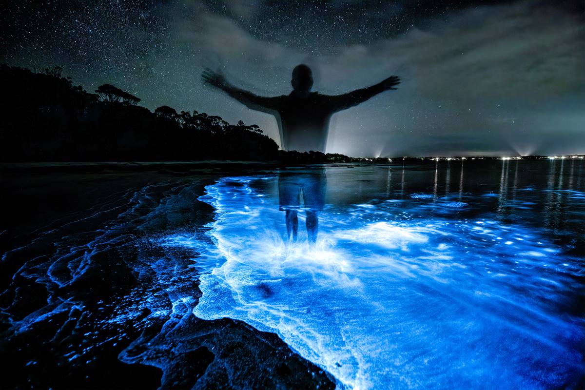 5 playas y lagunas con bioluminiscencia en México