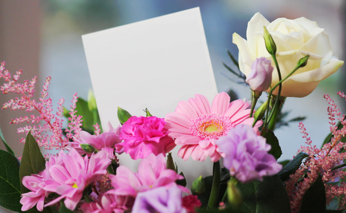 Se agotan flores en páginas de envío por Internet; ¿qué otras opciones tienes?
