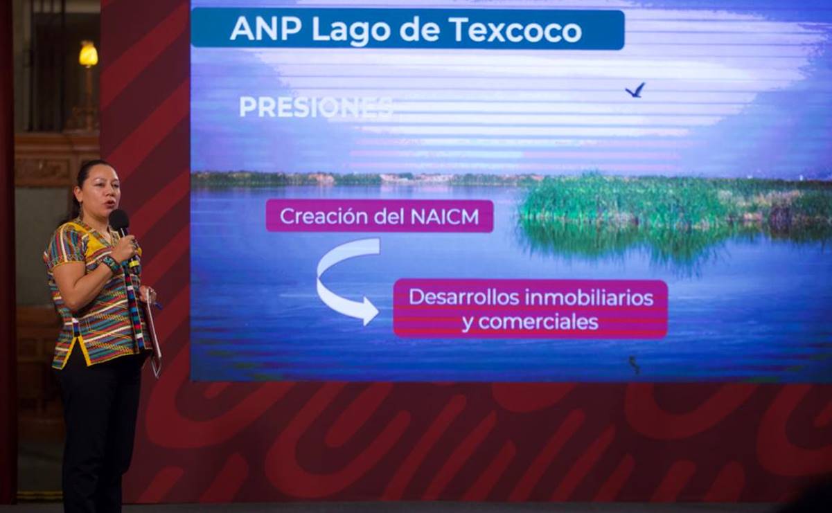 ¿En qué consiste el decreto que declara área natural protegida al Lago de Texcoco?