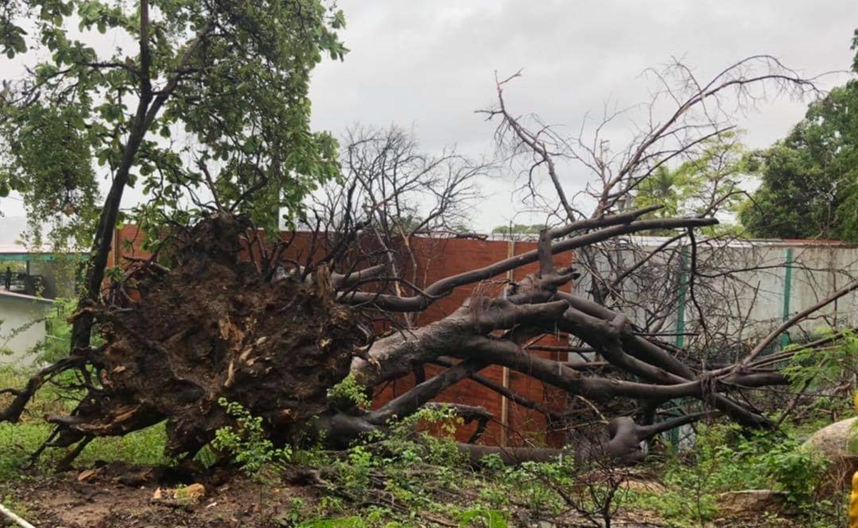 “Enrique” deja viviendas colapsadas, deslaves y derrumbes en Guerrero