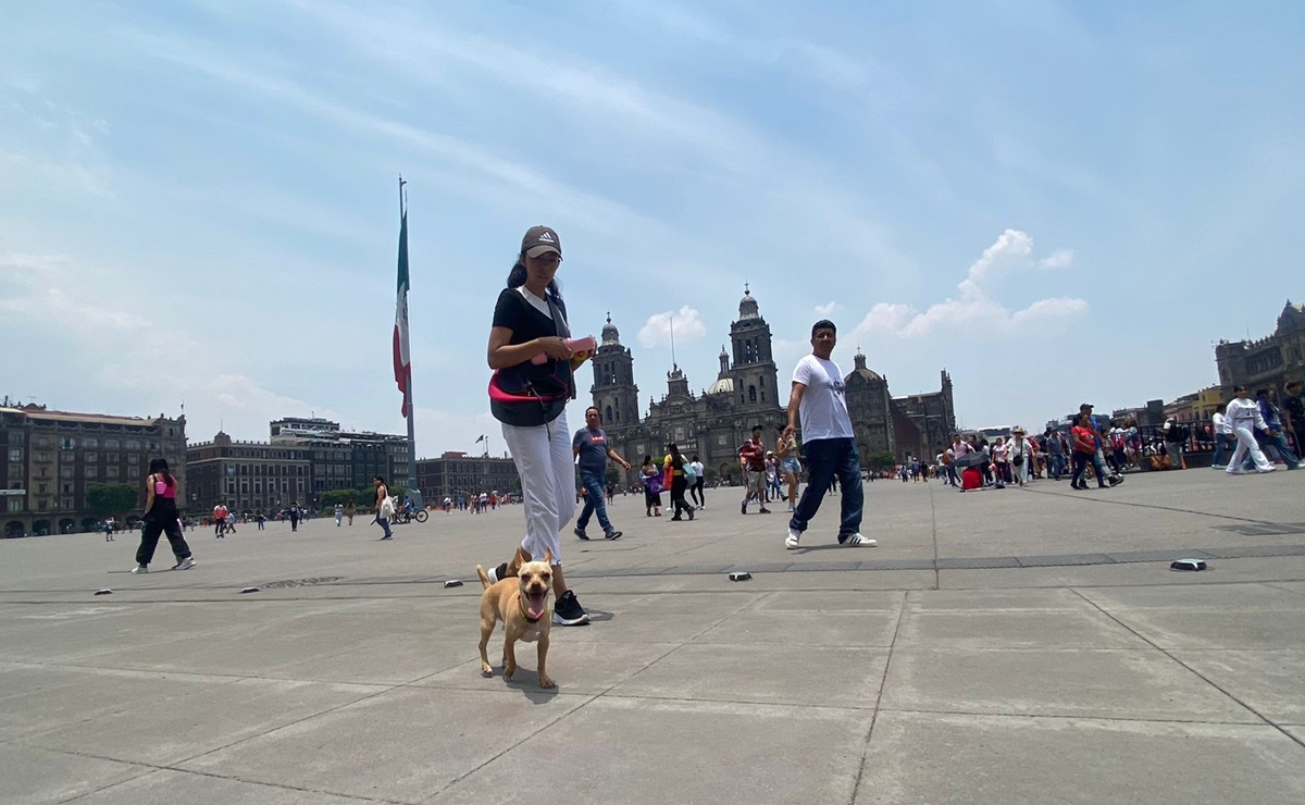 Gobierno invita a caminar el zócalo el domingo 12 de mayo