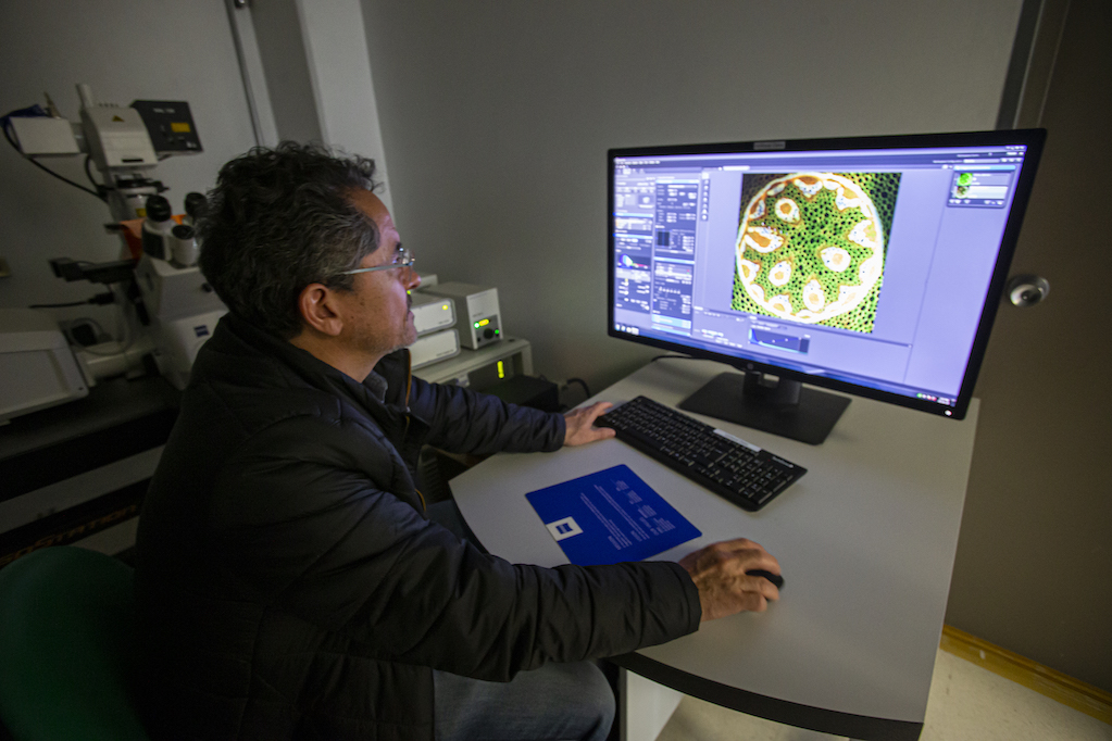 Desde Querétaro, estudian cómo la luz es capaz de mover la materia 