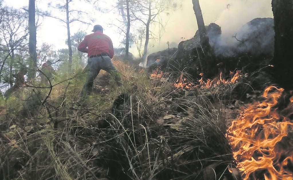 Reportan 13 incendios en lo que va del día en CDMX