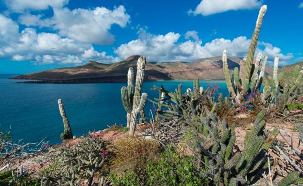 Climate change to submerge several Mexican islands