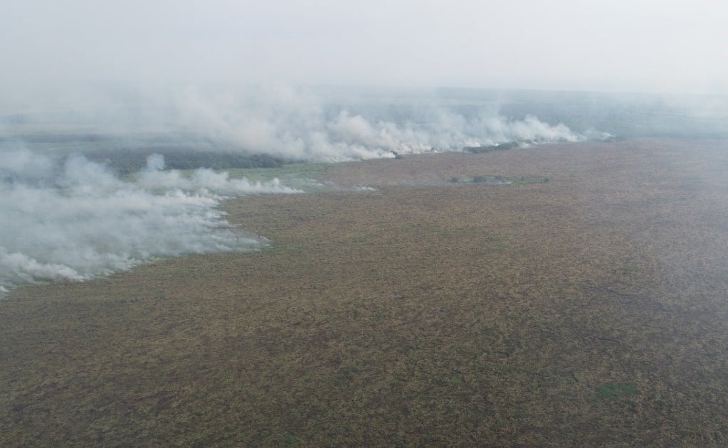 Incendio daña 800 hectáreas en reserva de la biósfera La Encrucijada en Chiapas
