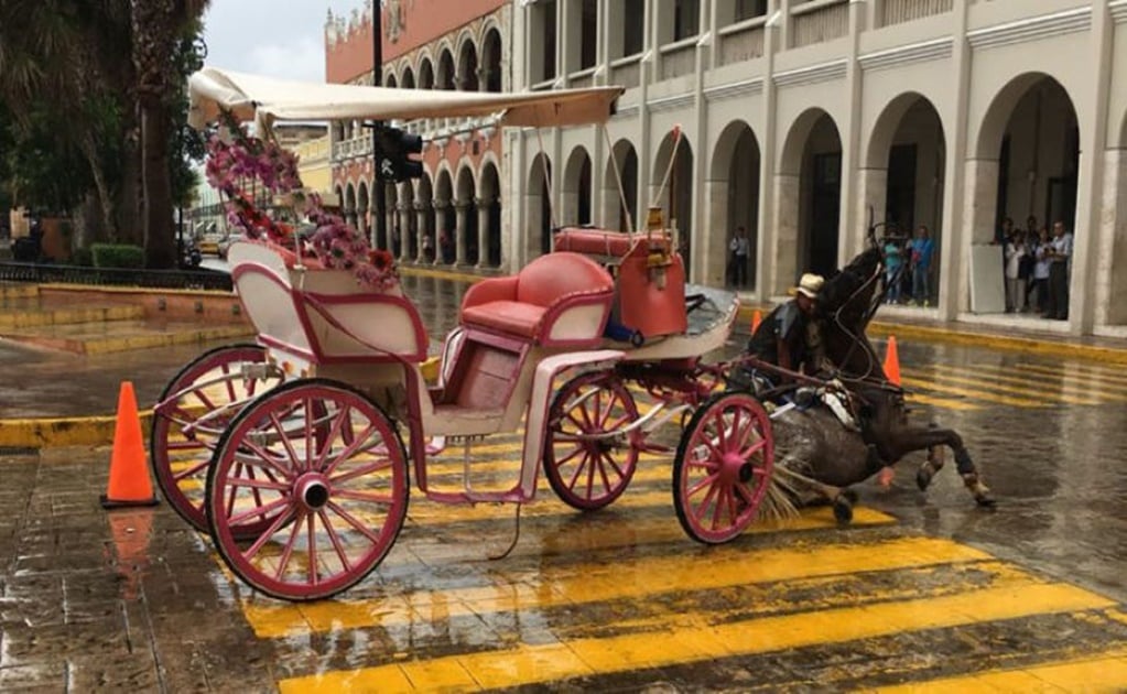 Circula en Mérida primera calesa eléctrica, no jalada por caballos