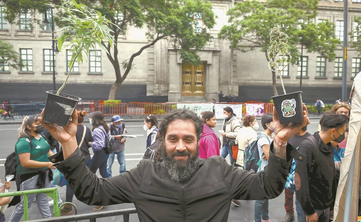 Corte da revés a Congreso: avala uso lúdico de la marihuana