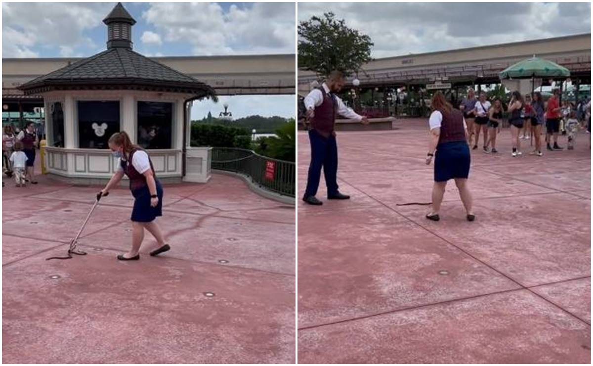 Captan a empleada atrapando serpiente en Disney World