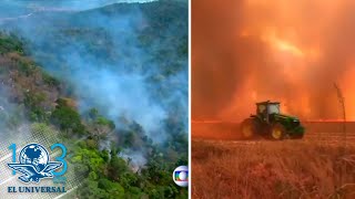 Arde el Amazonas; estados amazónicos declaran situación de emergencia