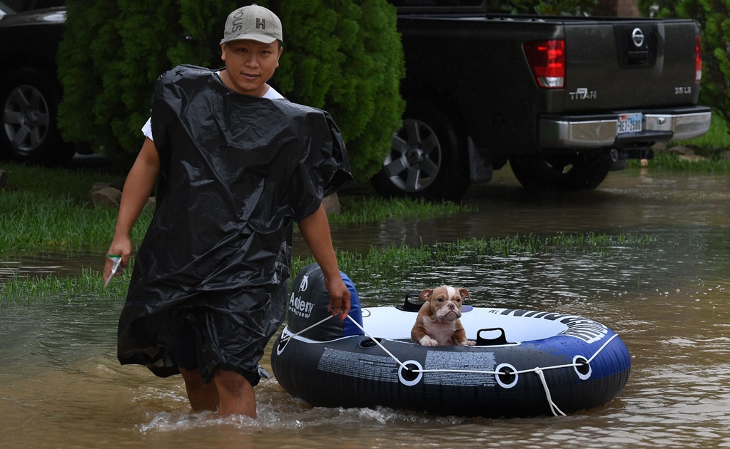 Pese a la tragedia por “Harvey”, texanos no dejan atrás a sus mascotas