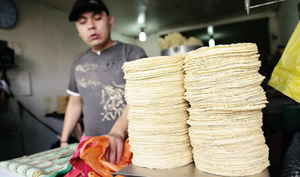 Tortilla se mantendrá en un máximo de 16 pesos