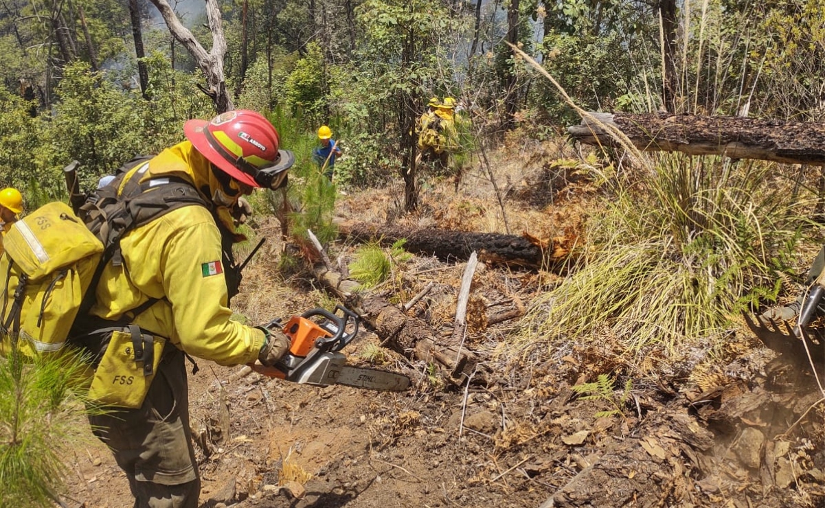 Crece incendio forestal en dos municipios de Michoacán