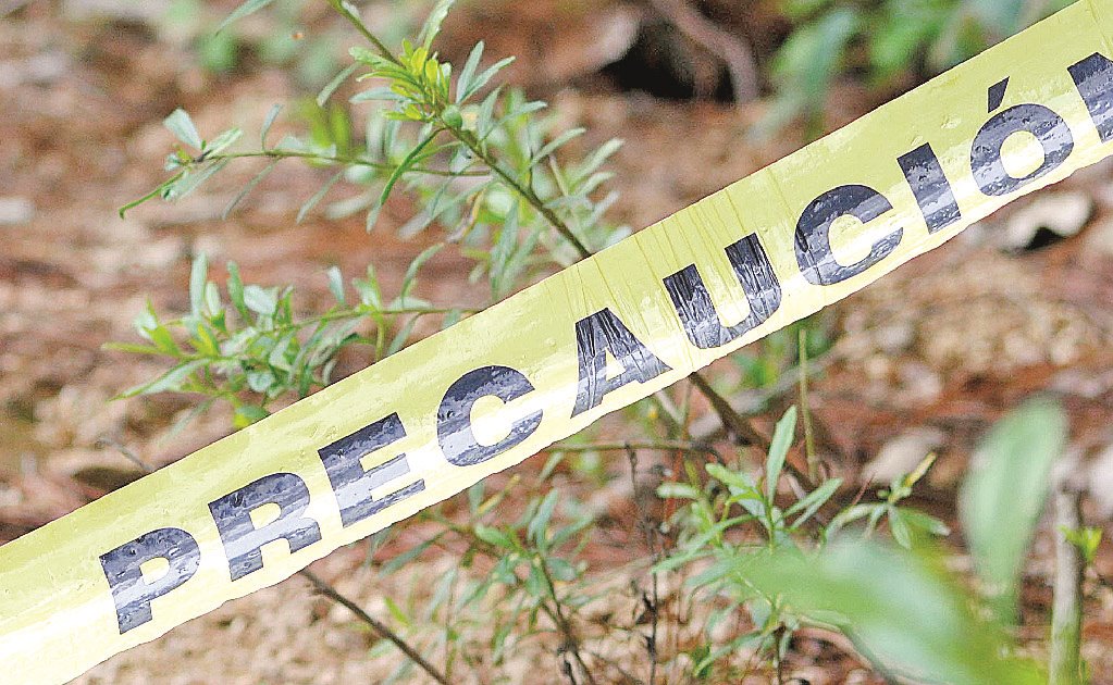 Encuentran 2 cadáveres en la Sierra de Guadalupe