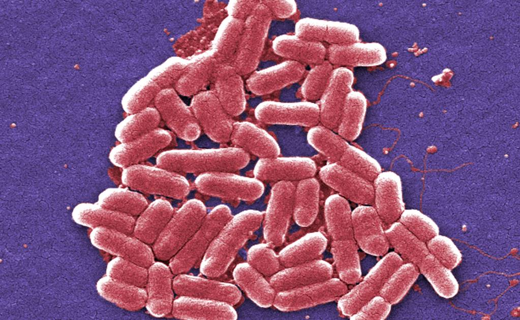 Reporta EU primer caso de bacteria resistente a antibióticos