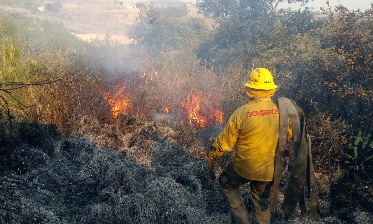 FOTOS: Tres incendios forestales afectan a Naucalpan; no se reportan víctimas