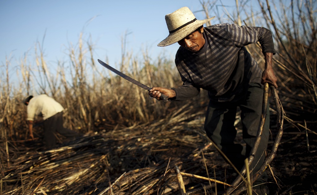 Altísimo Live!, the Latinx festival to support farmworkers affected by the COVID-19 pandemic