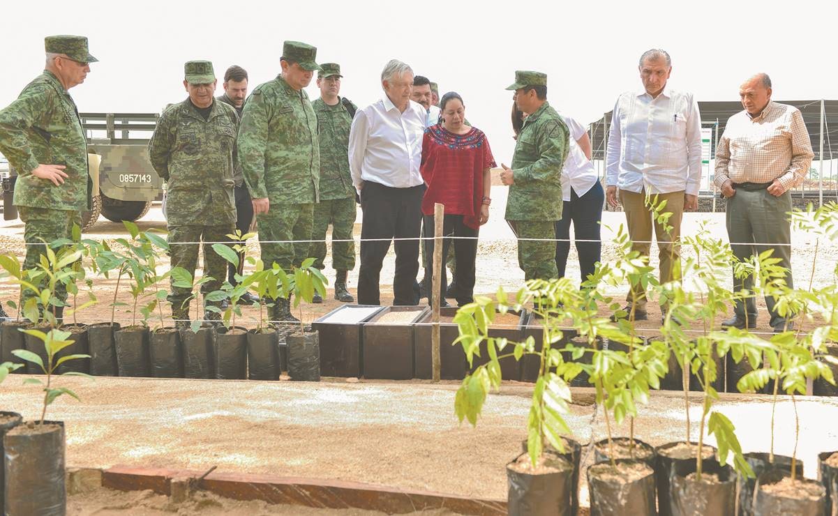 Glifosato: El tóxico que el Ejército usó en Sembrando Vida pese a que AMLO prometió no utilizarlo