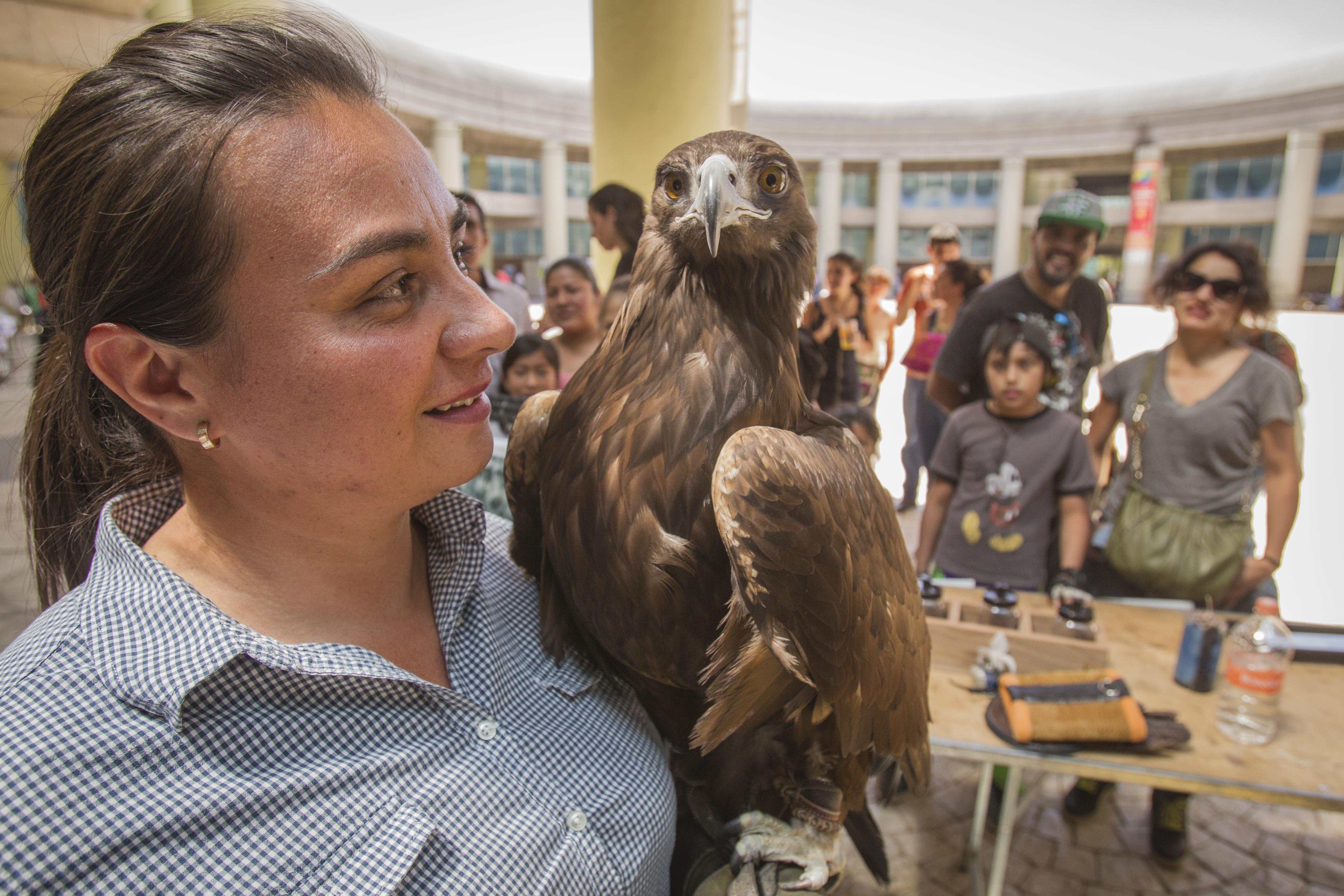 Inculcan el cuidado y protección de aves en Querétaro