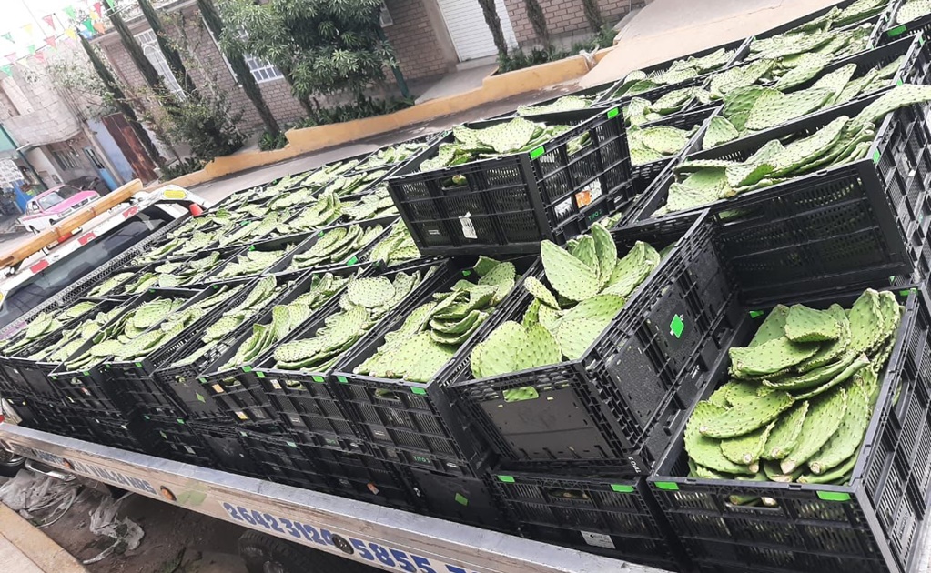 Recuperan toneladas de nopal robado en Los Reyes la Paz
