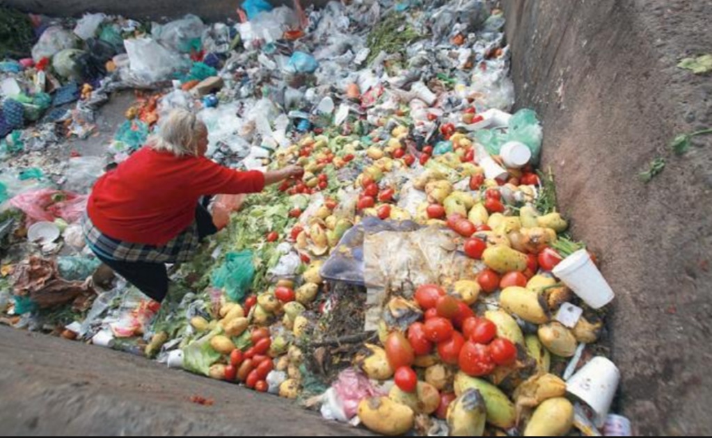 Desperdicio de alimentos genera pérdidas mundiales de 400 mil mdd: FAO