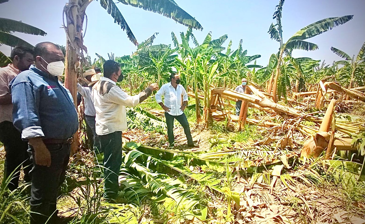 Lluvias provocan cierre de paso al Istmo en Oaxaca; reportan mil hectáreas de cultivo afectadas